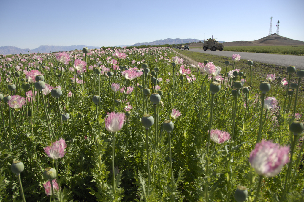 USopium11
